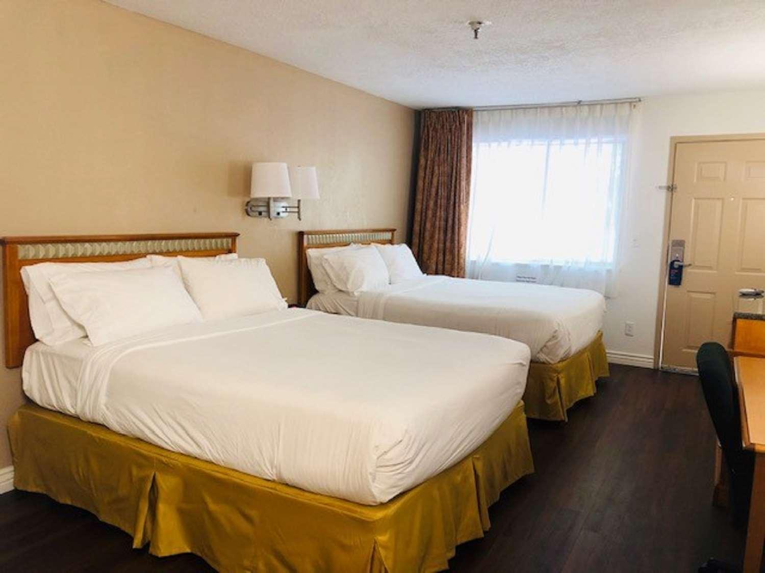 Surestay Plus Hotel By Best Western Albuquerque I-40 Eubank Εξωτερικό φωτογραφία